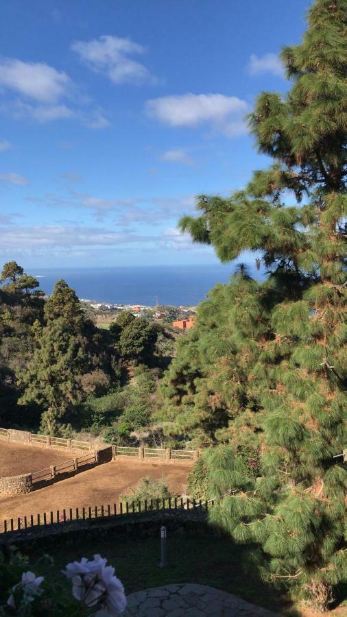 Riendas Vivas La Guancha المظهر الخارجي الصورة