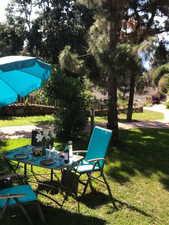 Riendas Vivas La Guancha المظهر الخارجي الصورة